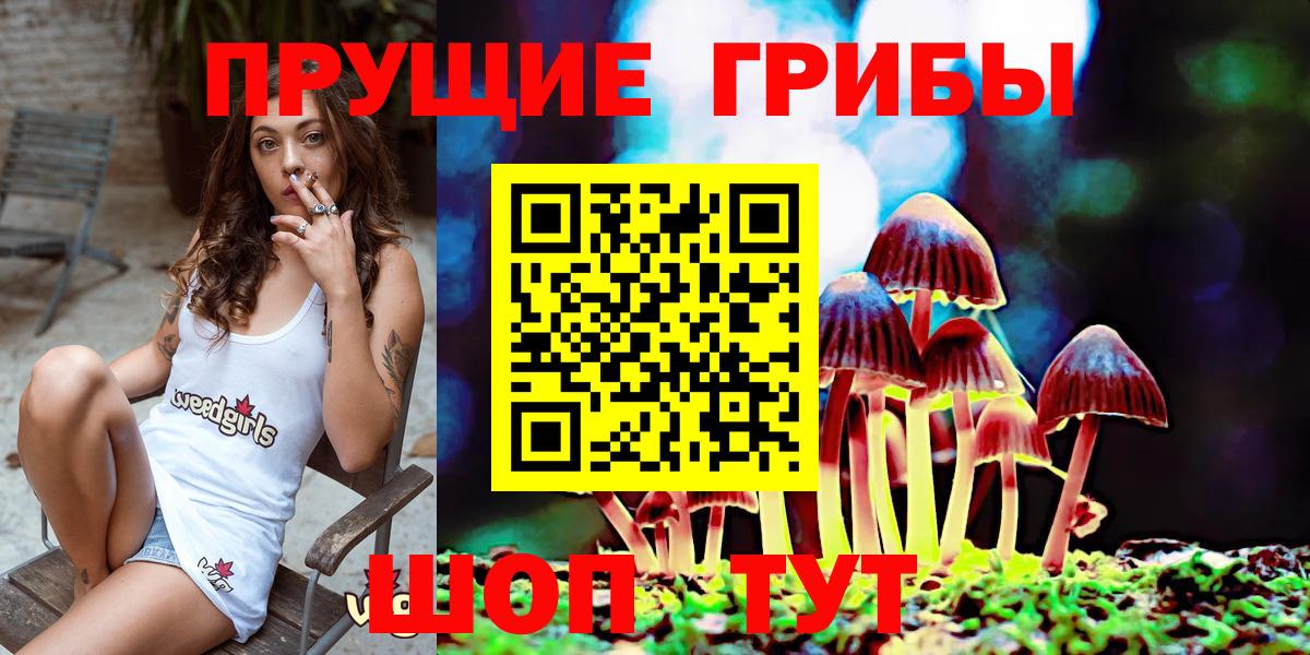 Псилоцибиновые грибы Cubensis  Псилоцибиновые грибы прущие грибы  Апатиты  Вход с VPN 